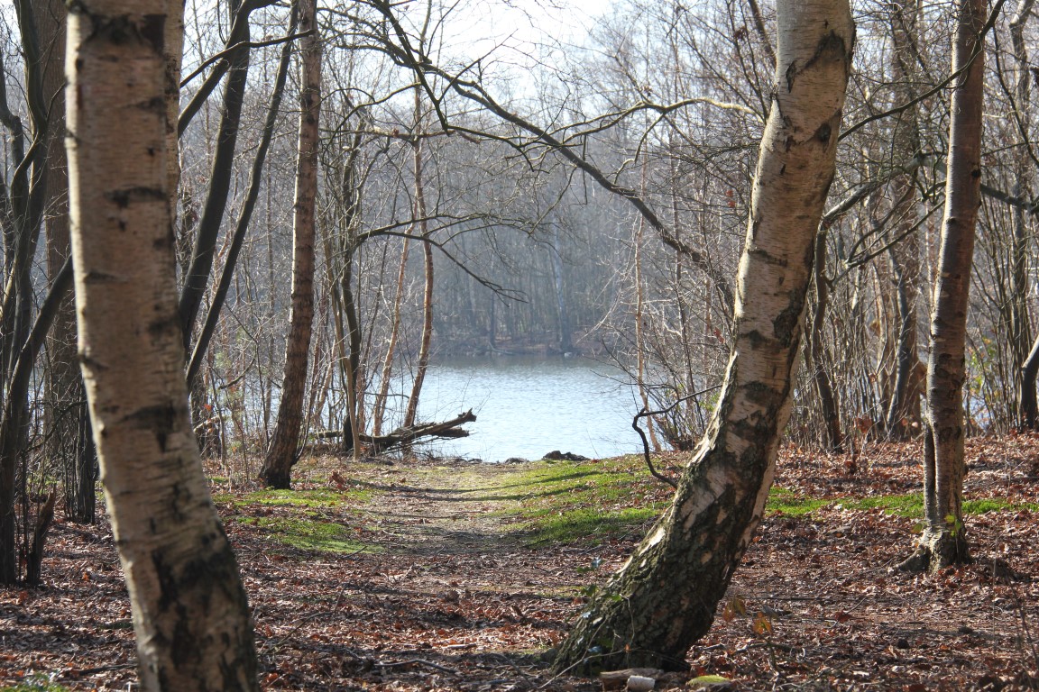 Het water: De Zanderijen